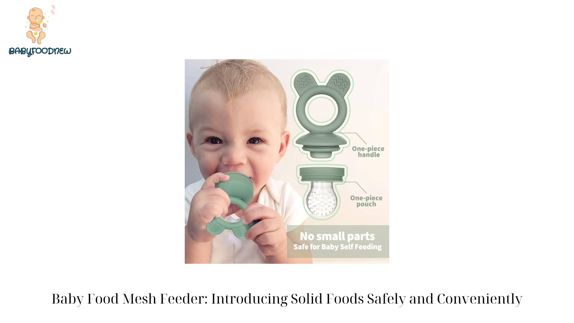 Baby Food Mesh Feeder Introducing Solid Foods Safely and Conveniently