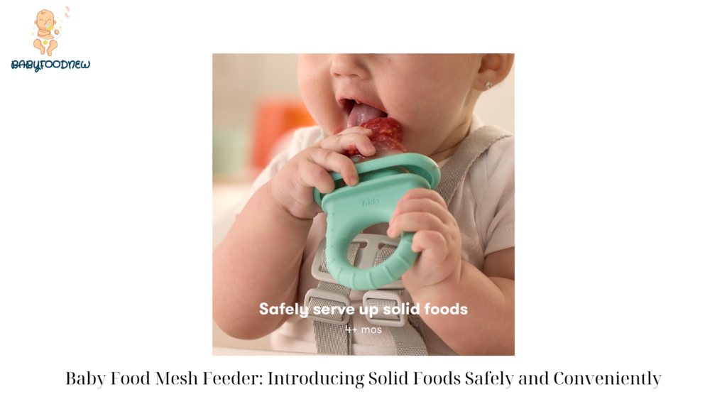 Baby Food Mesh Feeder Introducing Solid Foods Safely and Conveniently