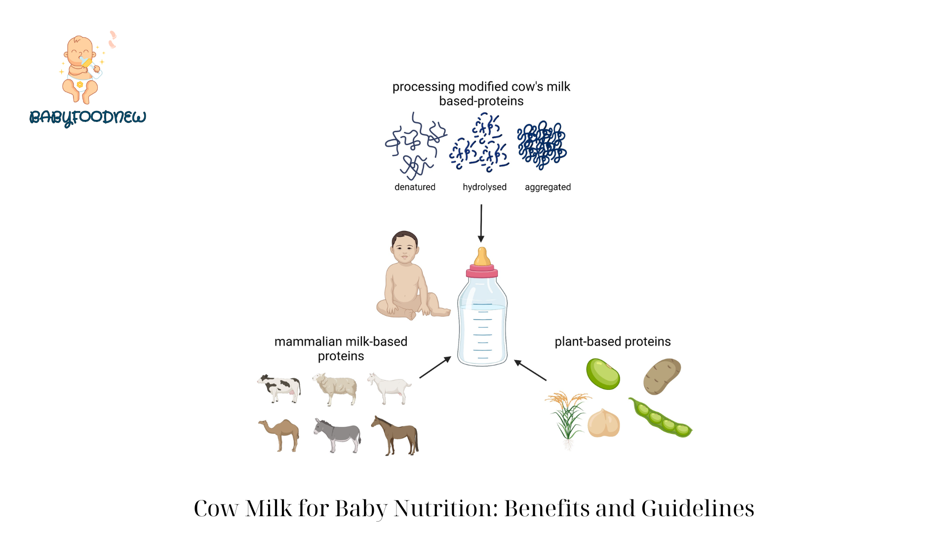 Cow Milk for Baby Nutrition Benefits and Guidelines