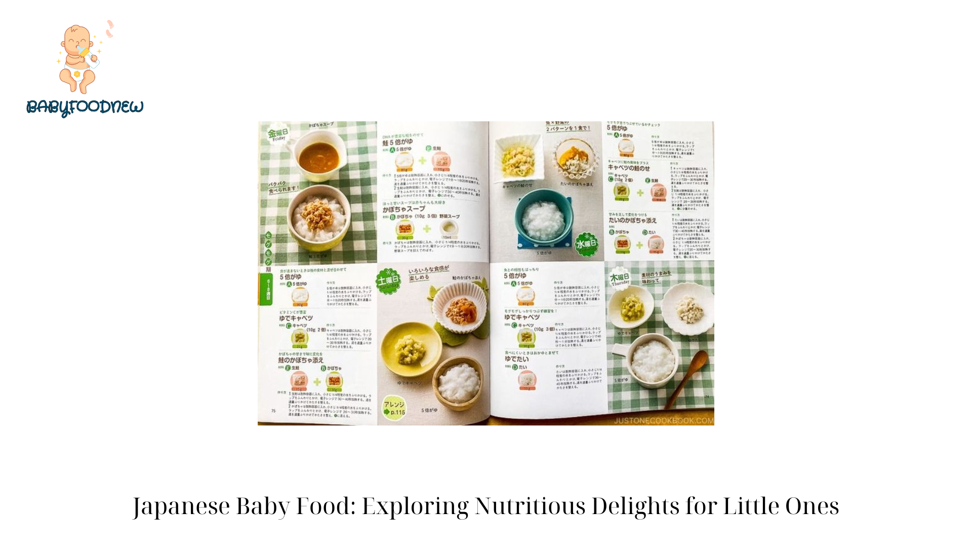 japanese baby food