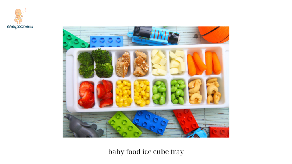 baby food ice cube tray