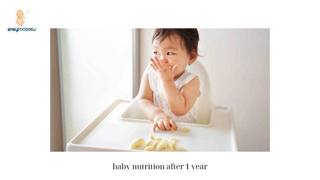 baby nutrition after 1 year