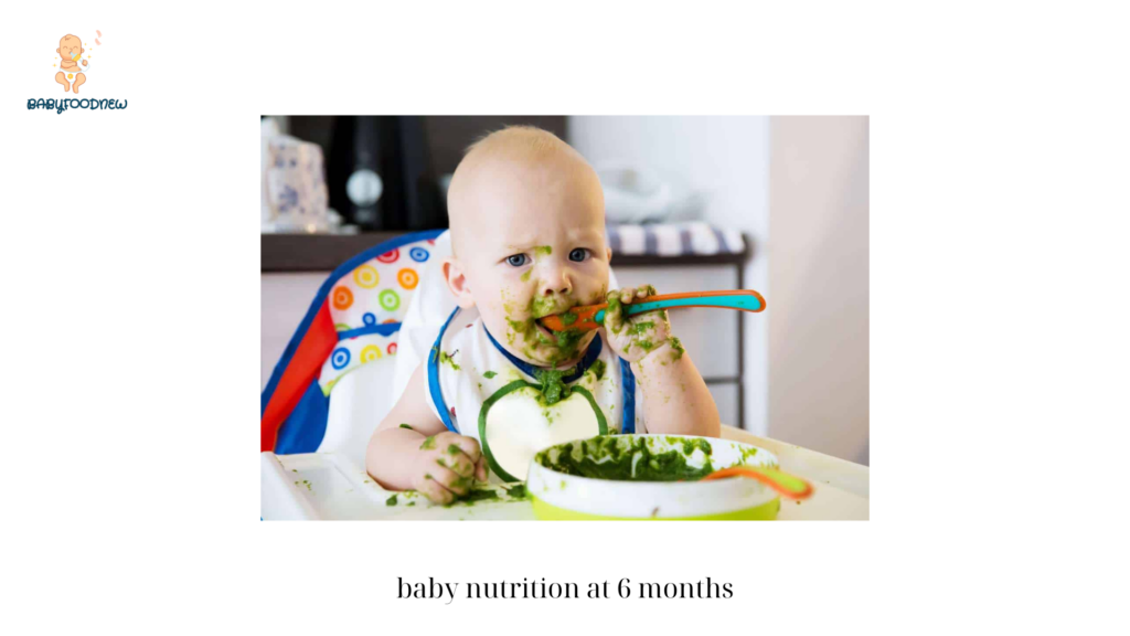 baby nutrition at 6 months