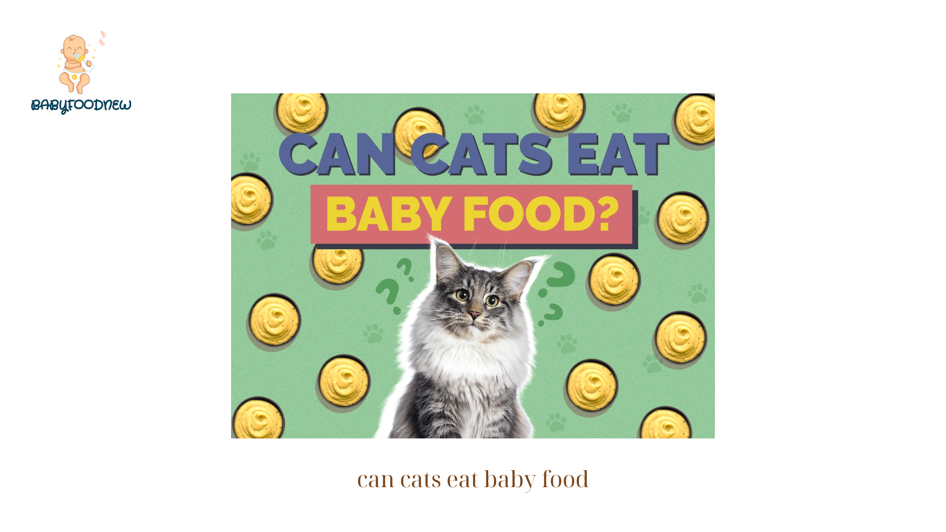 can cats eat baby food (1)