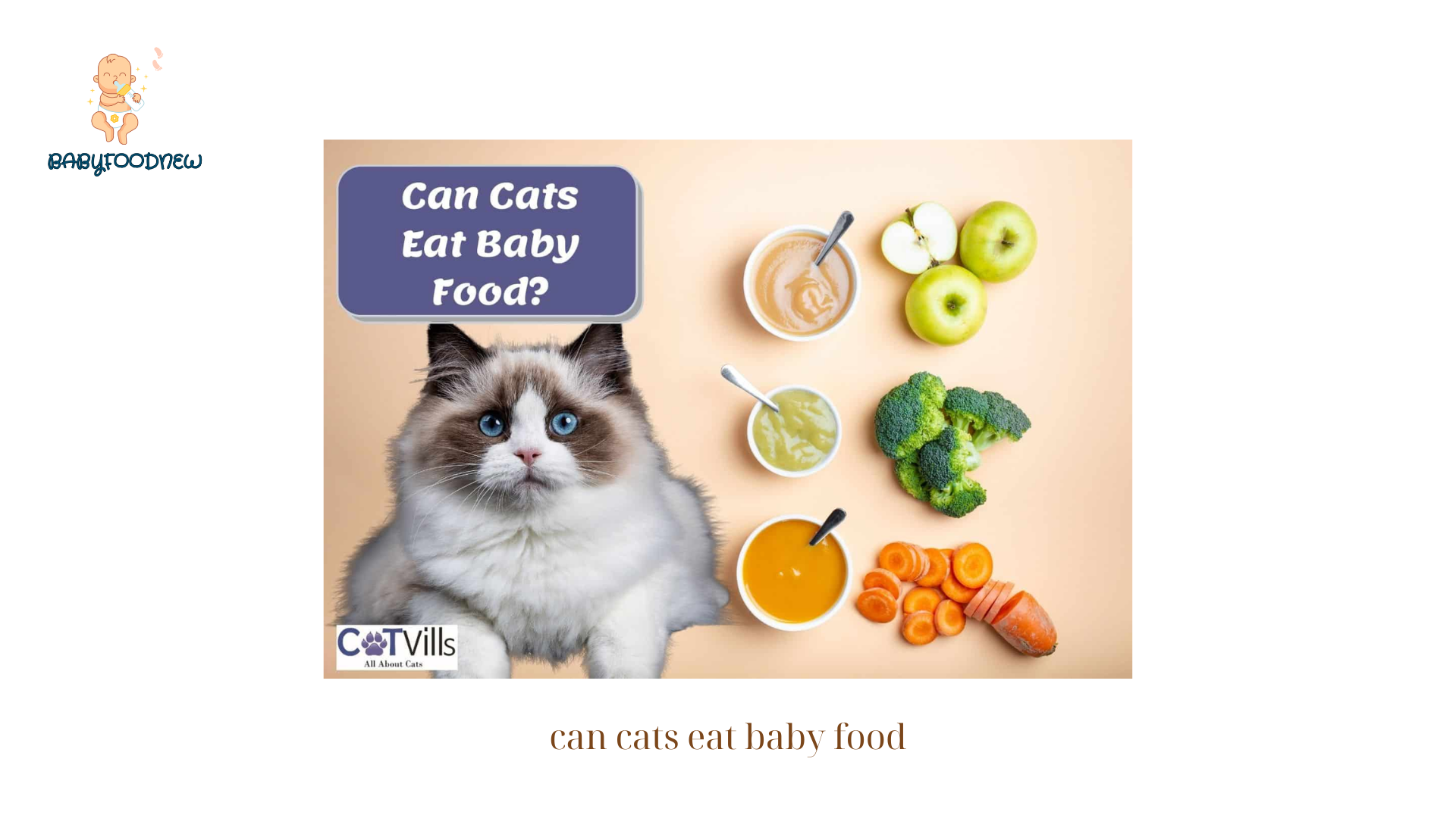 can cats eat baby food (1)