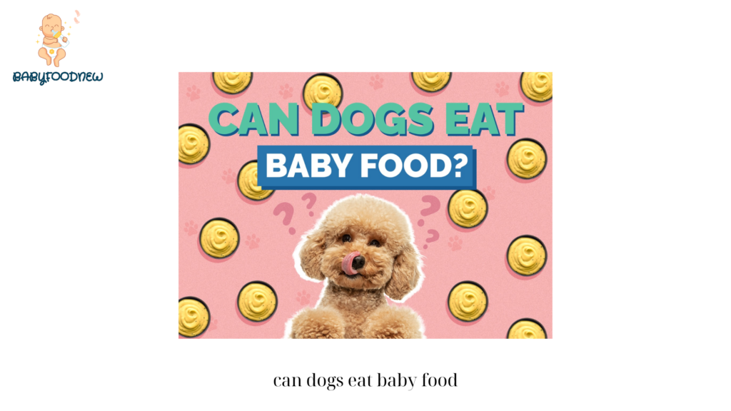 can dogs eat baby food