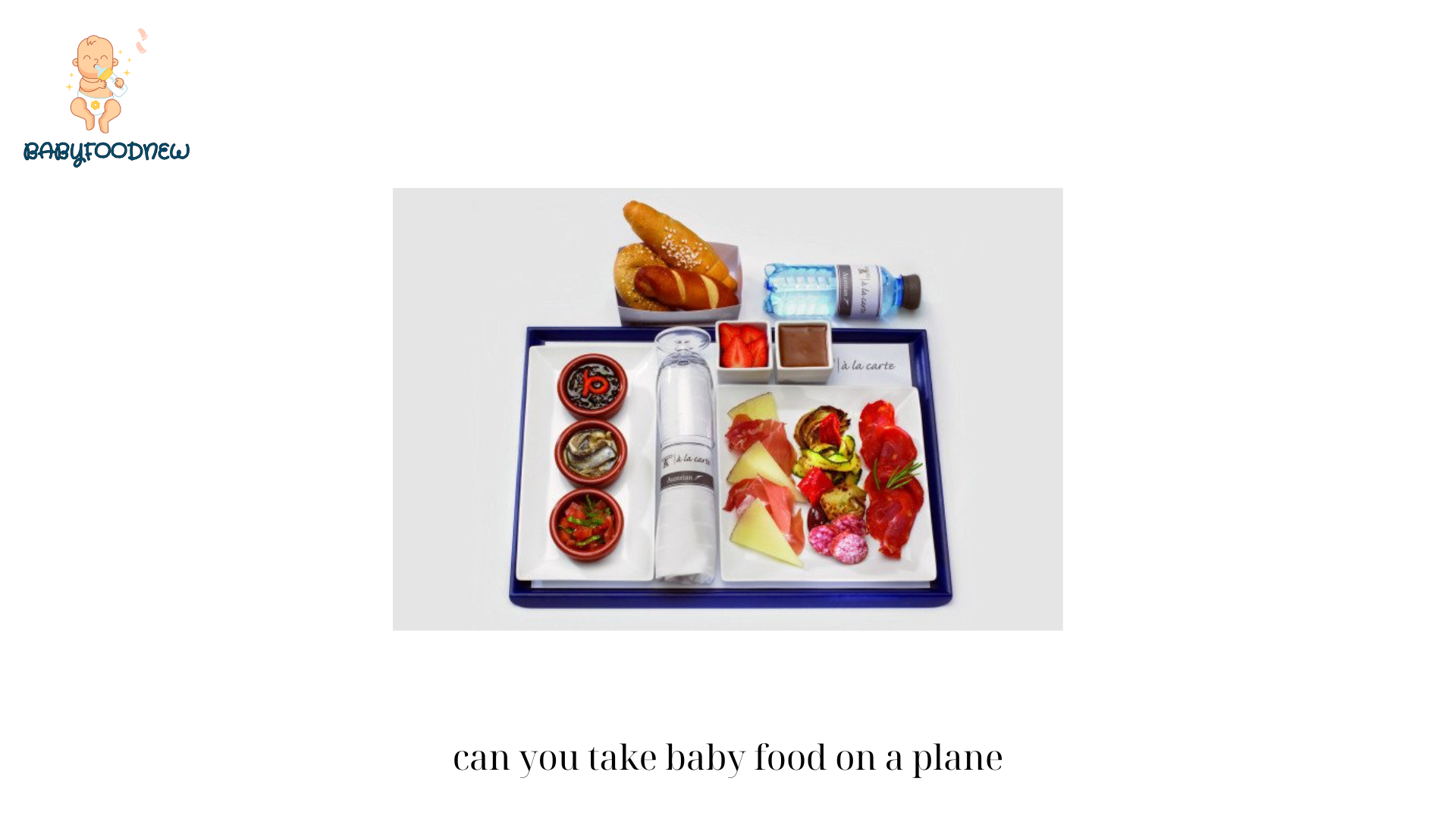 can you take baby food on a plane