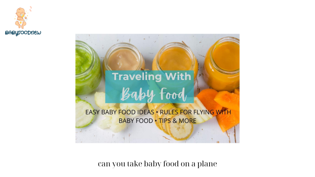 can you take baby food on a plane