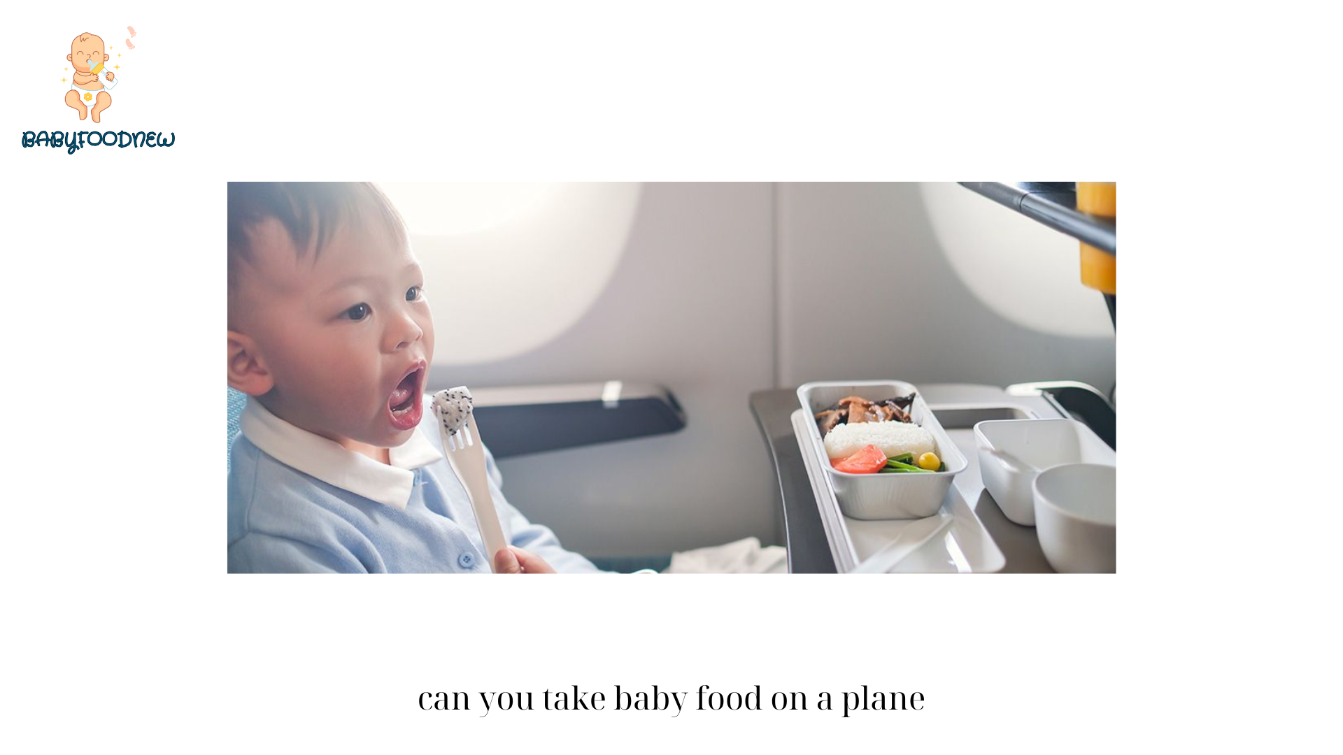 can you take baby food on a plane