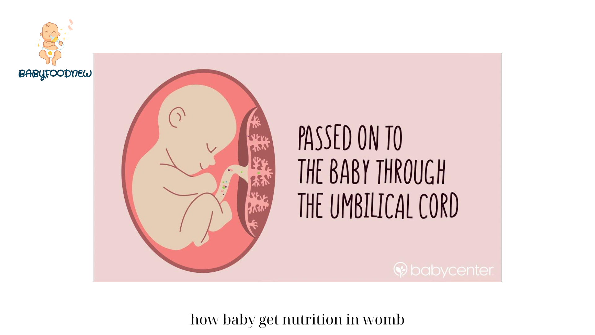 How Baby Get Nutrition in Womb? Exploring the Fact of Baby Life